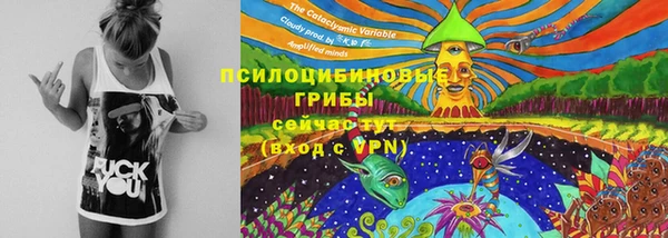 дживик Абаза
