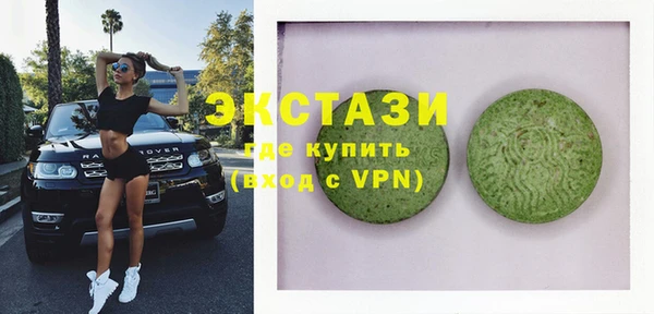 индика Медвежьегорск