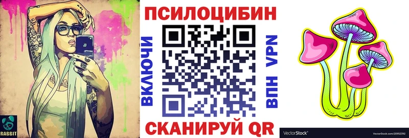 купить   Нижнекамск  Псилоцибиновые грибы ЛСД 